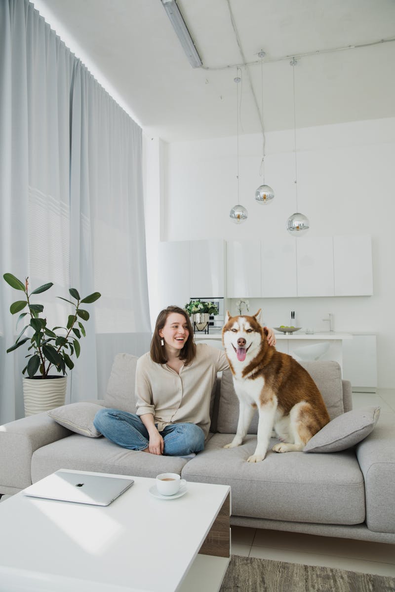 Professional Pet Sitting: What I Discovered When I Finally Tried It